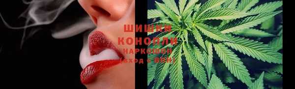 бутират Белокуриха