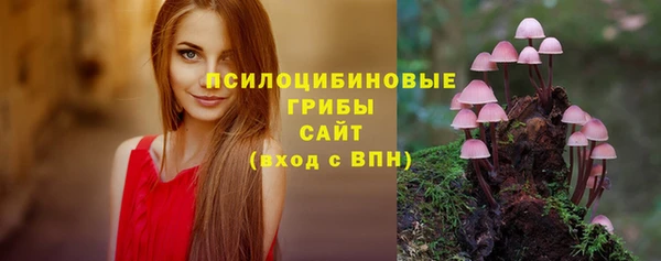 дмт Богданович
