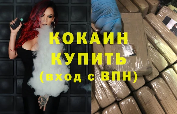 дмт Богданович