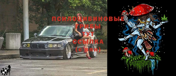 mdpv Пересвет