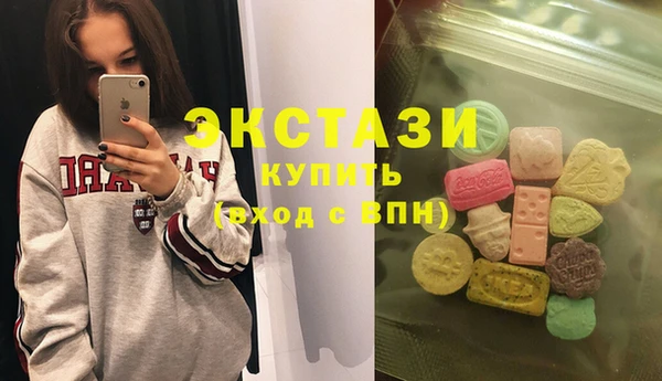 дмт Богданович
