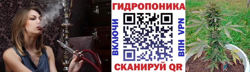Бошки марихуана семена Георгиевск